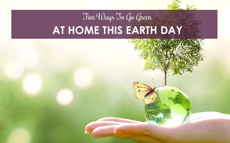 5 Ways To Go Green At Home This Earth Day